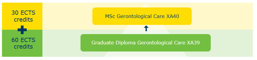Gerontological Care Pathway